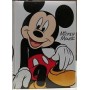 DIARIO TOPOLINO MICKEY MOUSE ORIGINALE 