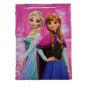 DIARIO FROZEN
