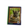 DIARIO WWF TIGROTTO