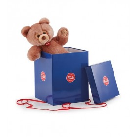 Orso con Scatola Colore Marrone (Peluche Trudi)