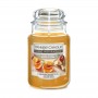 CIDER TASTING LARGE JAR YANKEE