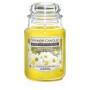 DAISY & BUTTERCUPS LARGE JAR