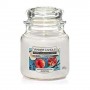 POMEGRANATE COCONUT MEDIUM JAR
