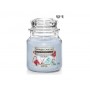 SNOWFLAKES & SLEIGHRIDES SMALL JAR
