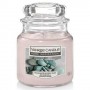 STONY COVE SMALL JAR