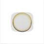 Pulsante Home per iPhone 6 & 6 Plus Oro
