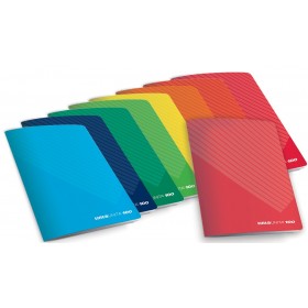 MAXI TINTA UNITA 100GR.C 90656 [10PZ]