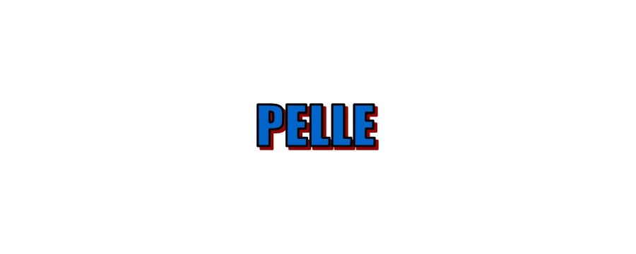 COVER IN PELLE